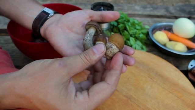 ОГРОМНЫЙ БЕЛЫЙ ГРИБ | СБОР БЕЛЫХ ГРИБОВ В КРЫМУ | ГРИБНОЙ СУП НА КОСТРЕ смотреть онлайн
