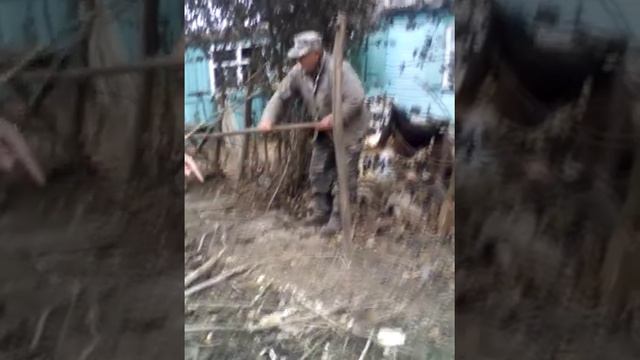 Неодыкватные соседи. Что делать с такими? смотреть онлайн