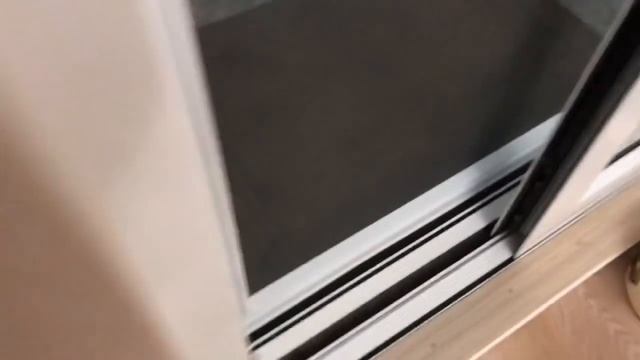 Французский Бульдог Мира и её брат смотреть онлайн