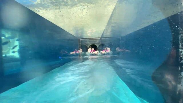 Shark Attack Atlantis Aquaventure Waterpark Dubai Slides and Rides смотреть онлайн
