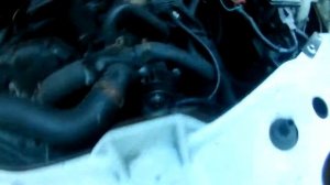 Ford Transit Форд Транзит  2.4 не заводится ошибки  р1564 Р0149