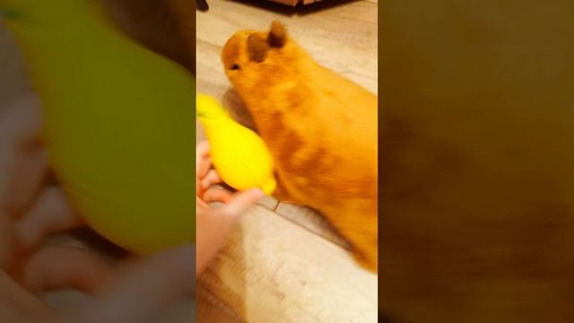 когда школа загорелась смотреть онлайн