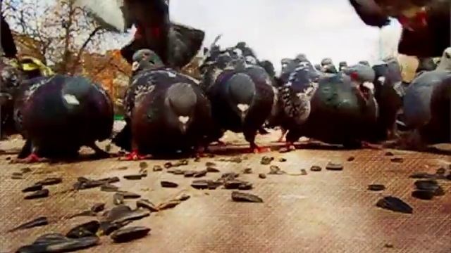 08. april 2013 - planeta lubvi смотреть онлайн