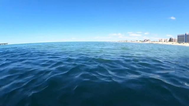 5.05.2021. Анапа.Купание с дельфином. смотреть онлайн