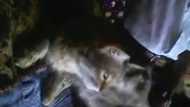 Мама моет свою дочь смотреть онлайн