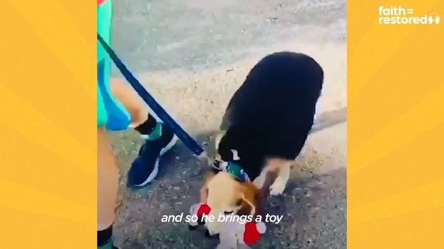 90-Pound Beagle Loses 70% Of His Body Weight | The Dodo Faith = Restored смотреть онлайн