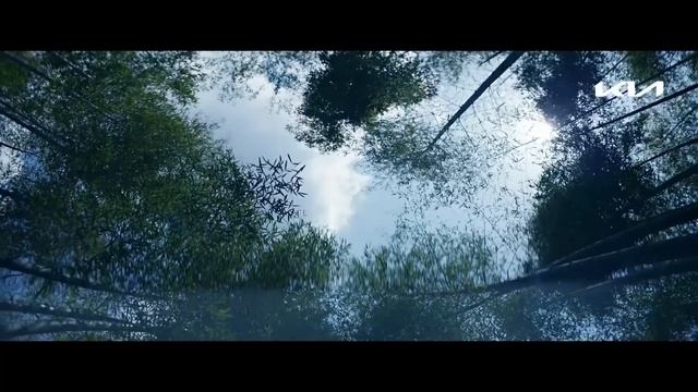 Новый Kia K9 - воплощение премиальности в каждой линии. смотреть онлайн