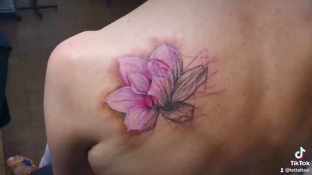 video5256155658012605540 смотреть онлайн