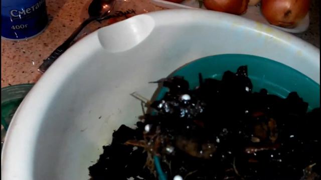 ЛЕГКО! РАЗМНОЖЕНИЕ ОРХИДЕИ БОКОВЫМИ ПАСЫНКАМИ смотреть онлайн