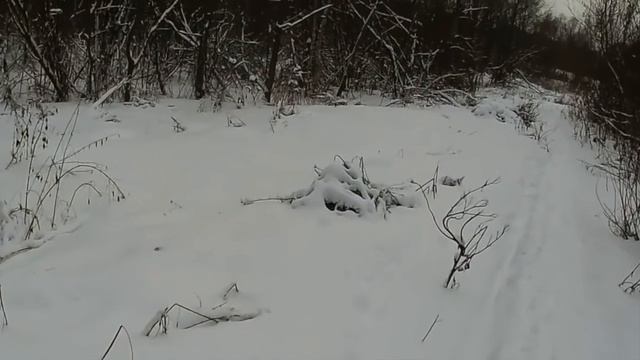 Прогулка в зимнем лесу смотреть онлайн