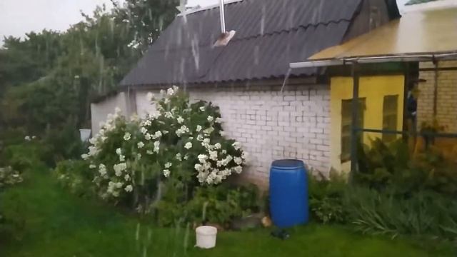 Ливень в Тверской области после долгой жары смотреть онлайн