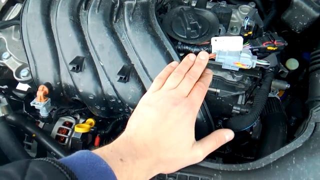 Renault Kaptur: обзор и отзыв владельца на двигатель 1.6 HR16DE/H4M (114 л.с.) смотреть онлайн