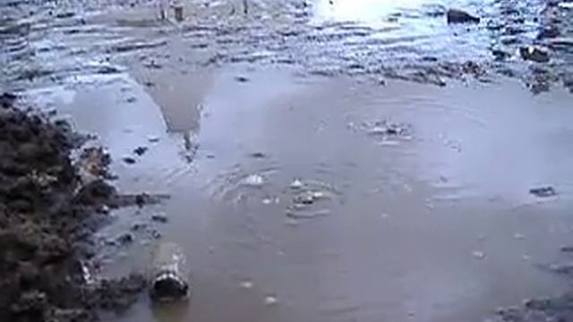 Roskilde festival video смотреть онлайн