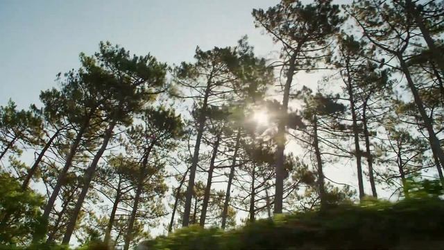 kia sorento my18 running footage   clean 12370 68528