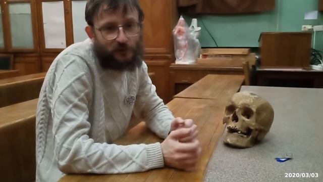 Станислав Дробышевский. Биофак МГУ: что скрывают учёные? смотреть онлайн