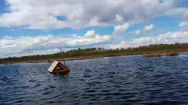 Кормушка для уток. Весенний уровень воды смотреть онлайн