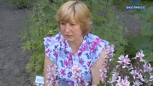 В ботаническом саду пензенцев ждут на экскурсии смотреть онлайн