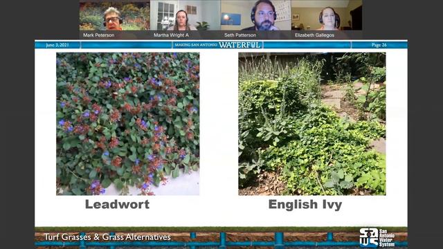 Webinar: Turf Grasses and their Alternatives смотреть онлайн