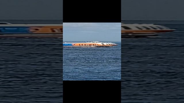 Петергоф причал финский  залив