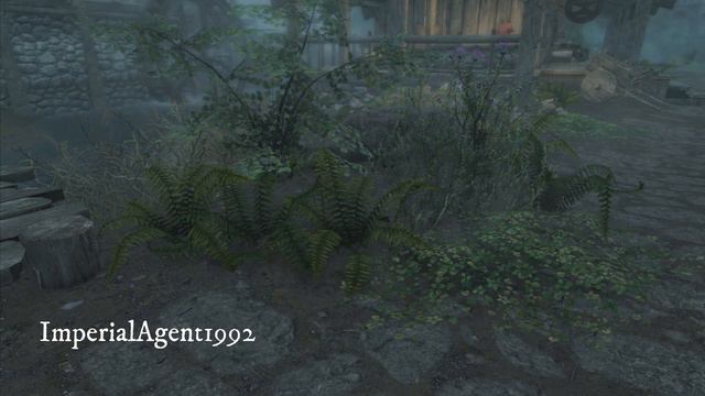 Skyrim Mods: Plants Animation Remove (PS4/XBOX1) смотреть онлайн