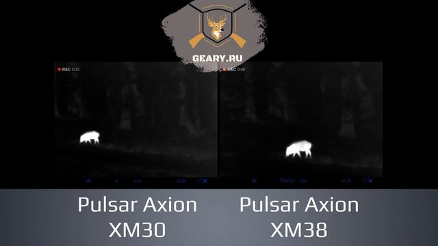 Тепловизор Pulsar Axion XM38 | Сравнение с XM30 смотреть онлайн