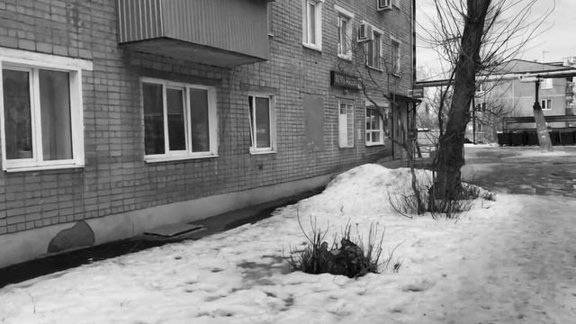 Купил Свитшот Камень Остров/Где взять дешевые шмотки в 2023?/Где выгодно купить Stone Island// смотреть онлайн
