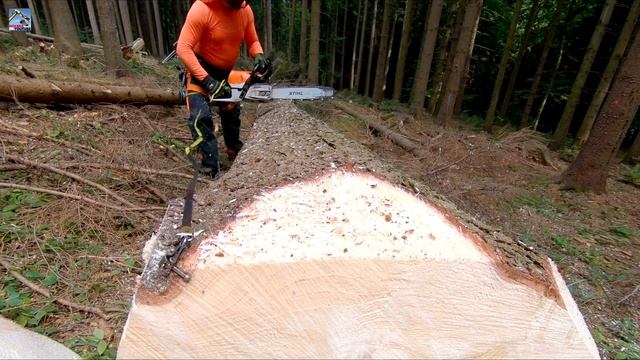Profesionál s pilou Stihl MS 462 смотреть онлайн