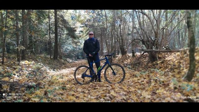 Фаниполь Столбцы смотреть онлайн