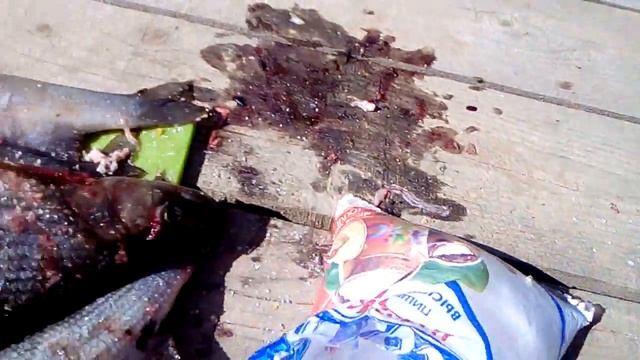 Хариус горячего капчения смотреть онлайн