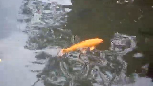 Водный дворец на Бали смотреть онлайн