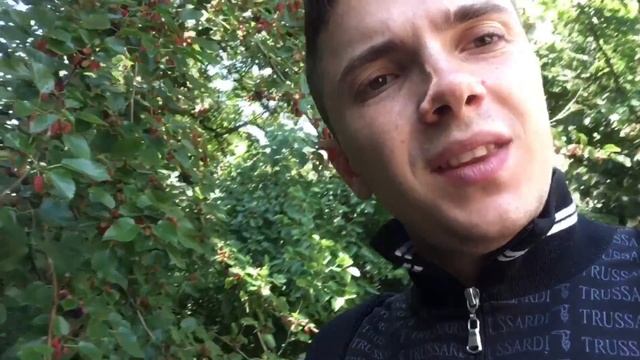 #13 Без Виз!!!! Мастер шеф ( Анекдоты + шашлыч) смотреть онлайн