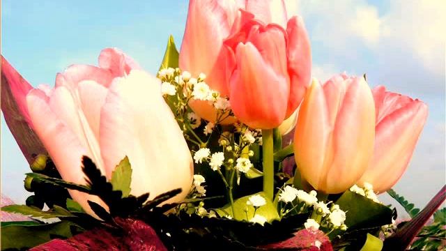 Амалька!!!С Днюхой!!! смотреть онлайн