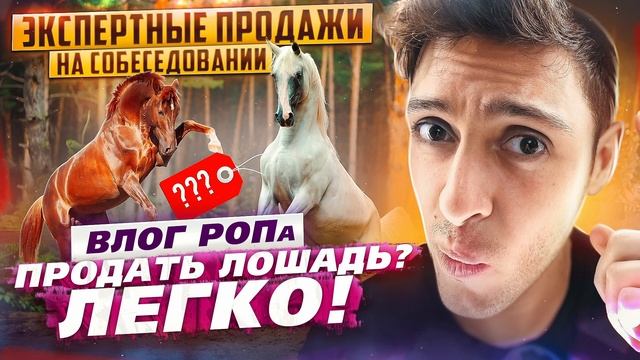 Стресс собеседование | Продаю лошадь | Экспертные продажи смотреть онлайн