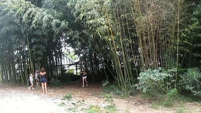 г. Сочи, Лоо. Дендрарий, Ривьера. Часть 3. смотреть онлайн