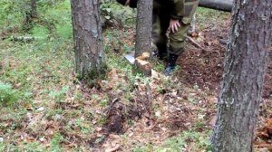 Блиндаж своими руками (2)