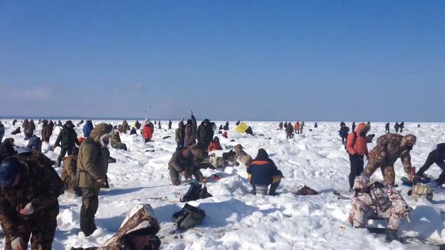 Сахалин. Зимняя рыбалка. Ловим корюшку смотреть онлайн
