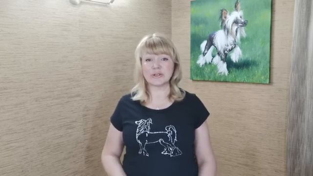 Когда привел домой щенка / Китайская Хохлатая Собака смотреть онлайн