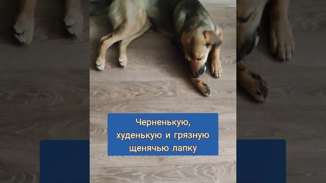 Нелогичная, пронзительная история 18летней Светки от Жужи, которую хочется, но невозможно забыть смотреть онлайн