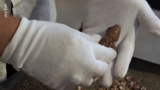 SEPOLTURE PALEOLITICHE: DA DONLI VESTONICE AI BALZI ROSSI (excerpt) смотреть онлайн