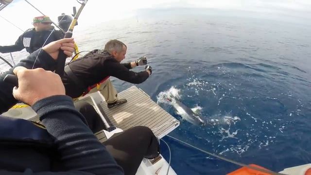 Азоры 2014. Клюнула акула! смотреть онлайн