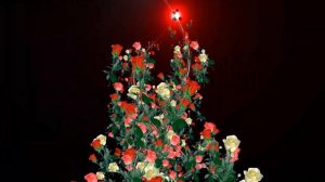 ✽ Music  ✿ܓ Flowers and  graphic footage ✿ܓОчень красивые футажи ✽ розы и ромашки