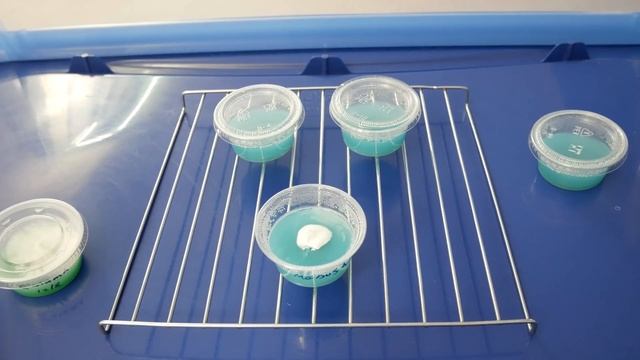 The Agar Files - Making Transfers on Agar смотреть онлайн