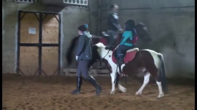 Обучение верховой езде (26.10.13) смотреть онлайн