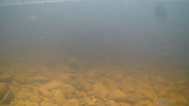 Клуб "ХариУС" - Урми 2017. Догордон. второй день Рыбалка и отдых смотреть онлайн