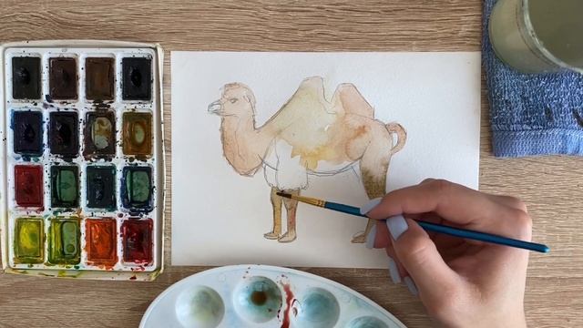 Как нарисовать верблюда карандашом и акварелью начинающим | Рисунок для детей смотреть онлайн