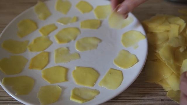 Домашние Животные и Их Уход