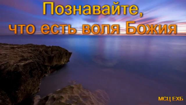 Познавайте, что есть воля Божия А Костенко МСЦ ЕХБ ПРОПОВЕДЬ 2020 смотреть онлайн