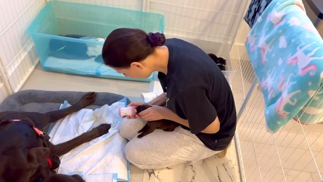 США Влог Что купила в магазине COSTCO Прикорм Вспомнилось Семейный Влог Big Big Family In The USA