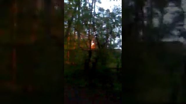Трансформаторная Подстанция после дождя замкнула (КЗ)