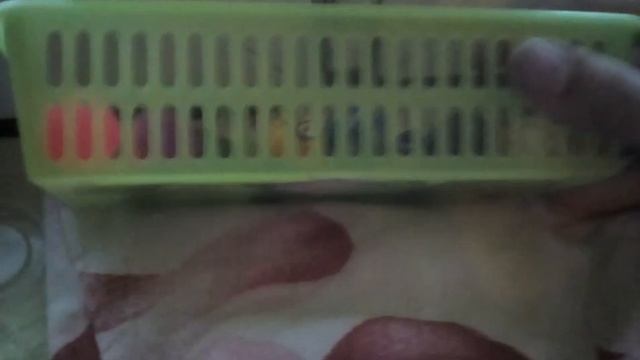 Как Обустроить Дом Для Сквиши Собачек)))) смотреть онлайн